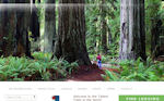 Click to visit the Redwoods.info website